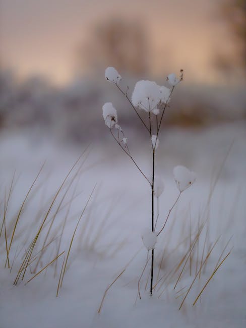 Anthony Walker tweet media