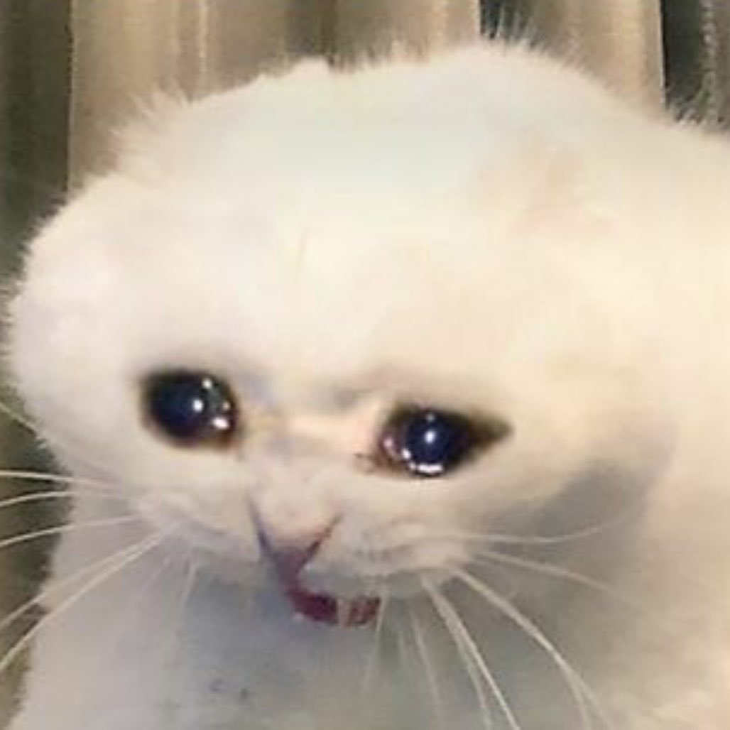 rere🍉 tweet media