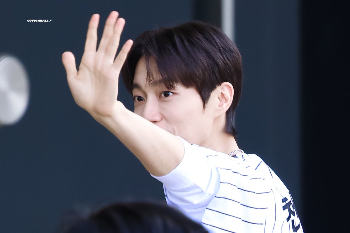 코튼볼 tweet media