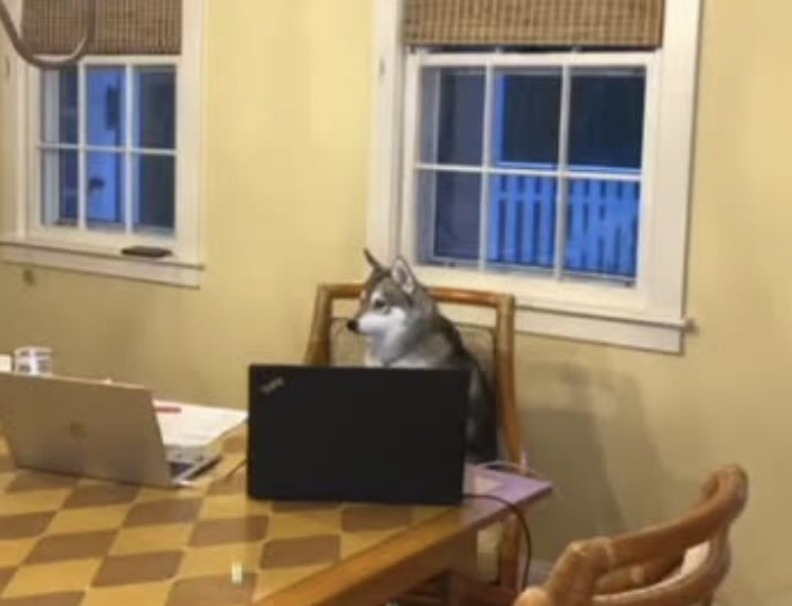 You must be a real dog if you make your Day Two picks instead of go to therapy

Vrabel: