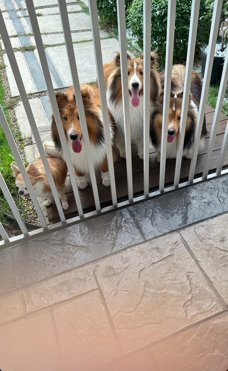 รายงานตัวววววว 🐶🐶🐶🐶

ig : mingieee

#bentleycartierO
#TiffanyPradaO
#charlotteka