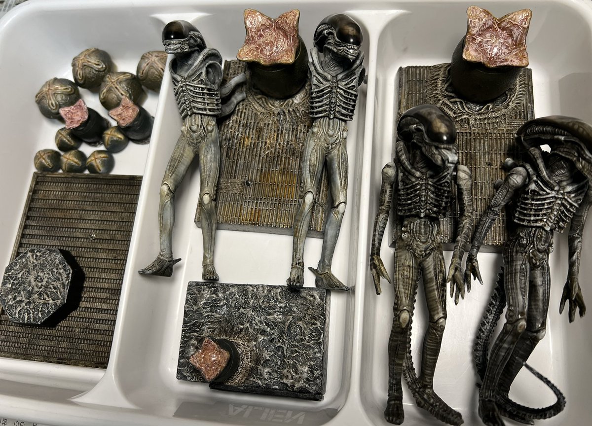 𝙀𝙉𝙊 5/16~17 静岡ホビーショー tweet media