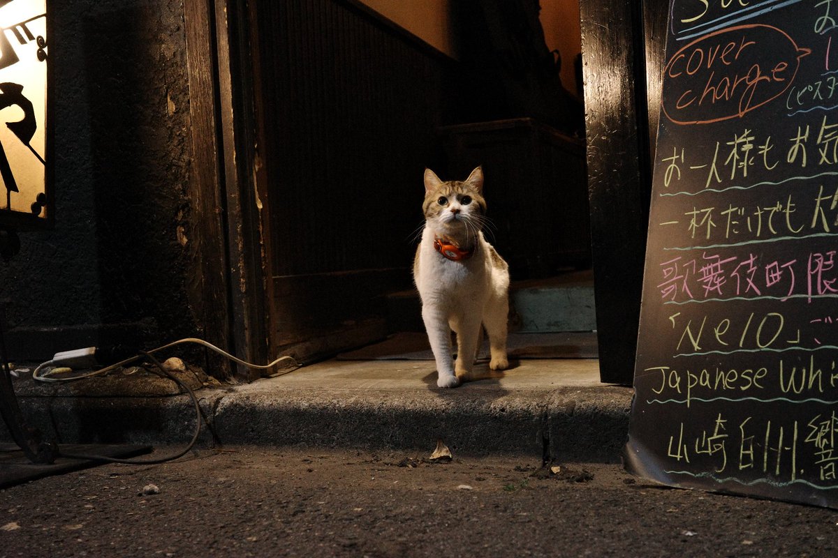 cameratosake's tweet photo. #RICOH 
#GR3x https://t.co/oh3zdIzZ9y