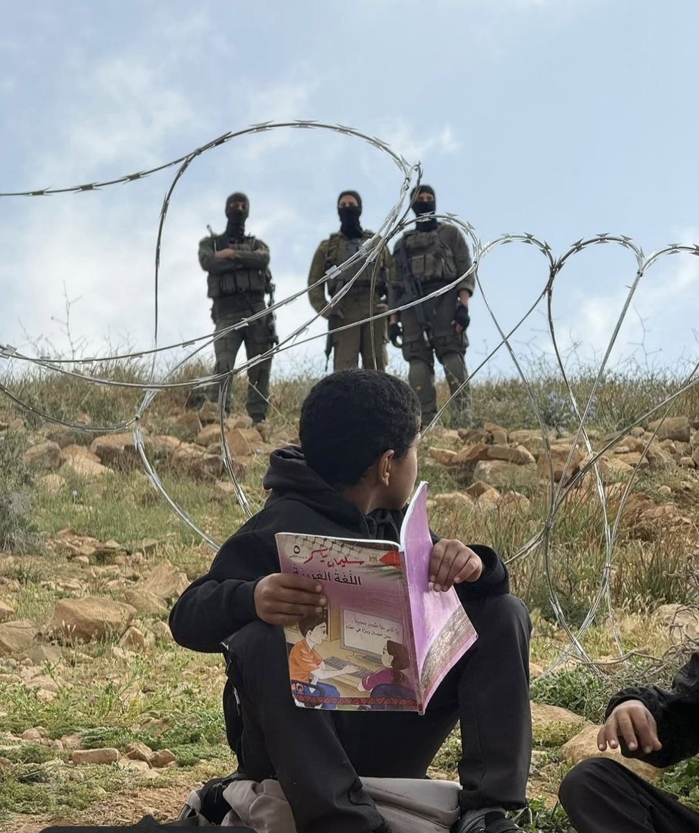 Tenerife Con Palestina tweet media