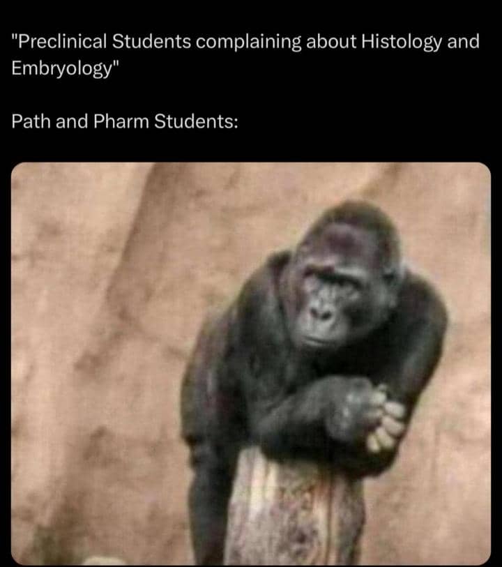 the_medpulse's tweet photo. Real 😅😅😅 https://t.co/xpVGZg350W