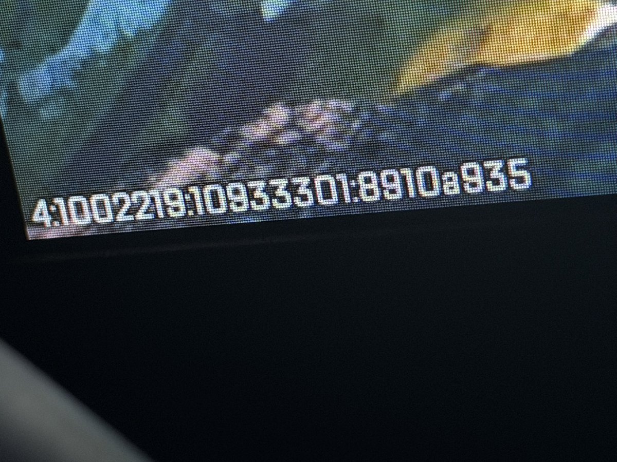 HxxRand/ぽんこつ天皇 tweet media