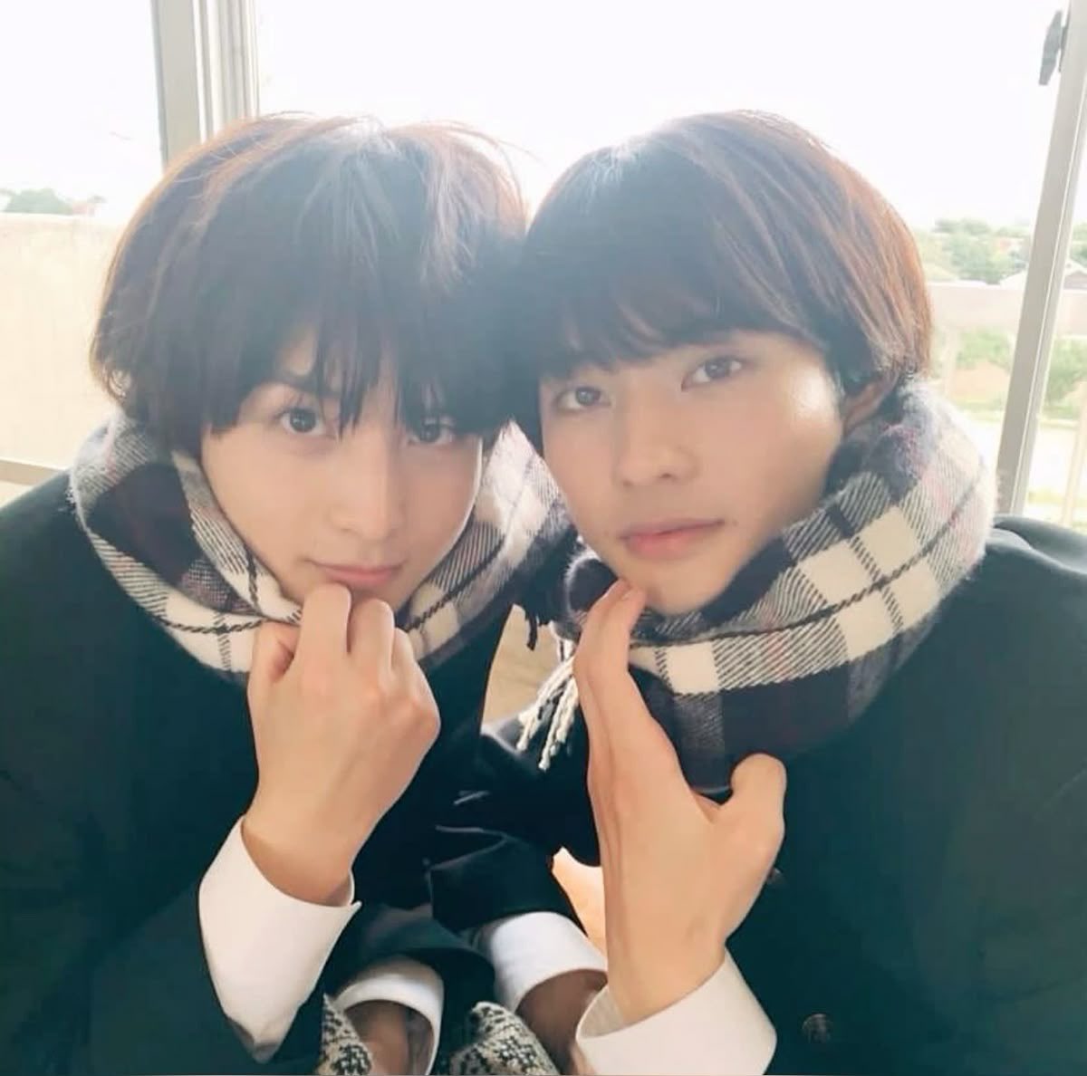 몽달이 tweet media