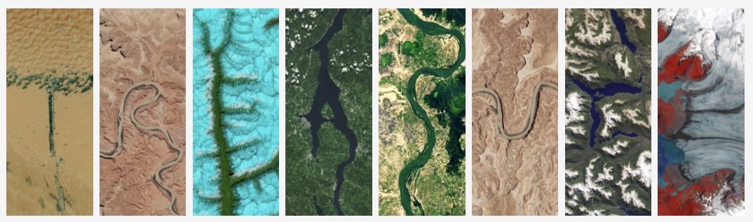 さとこ tweet media