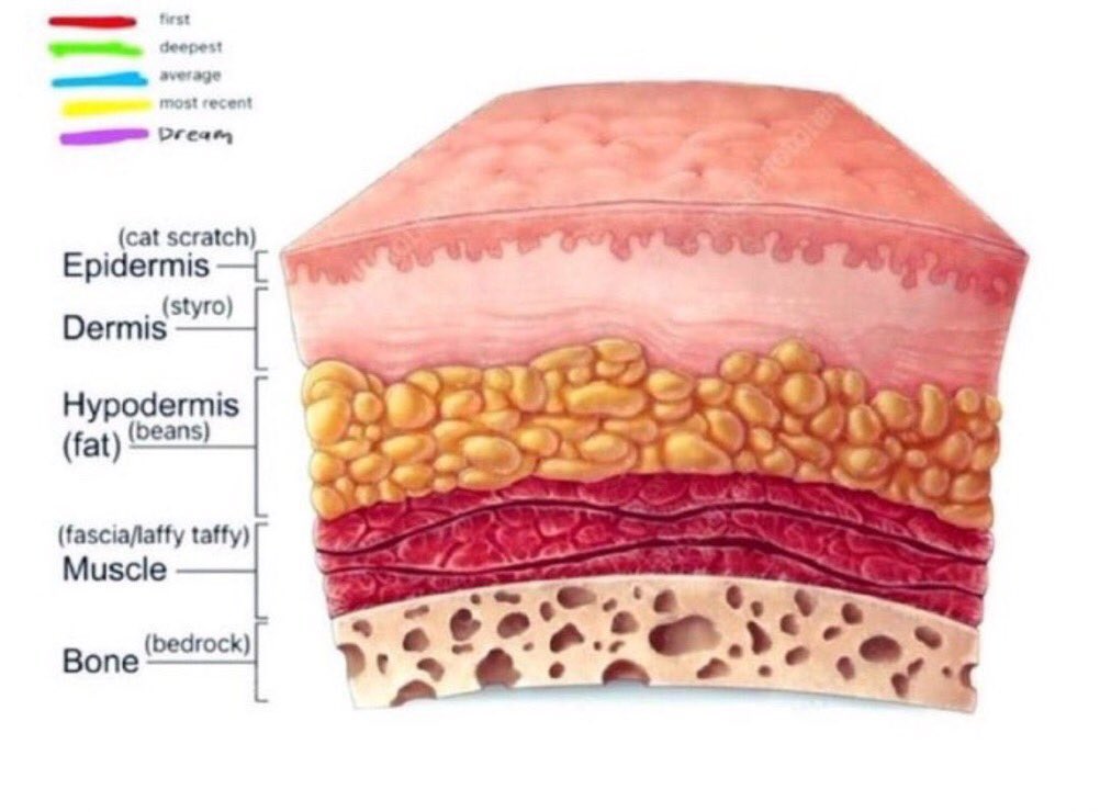 . +(*:✴︎𝖘𝖜𝖔𝖗𝕯 օ𝚏 𝖘𝖍𝖙𝓦𝖙✴︎:*) +. tweet media