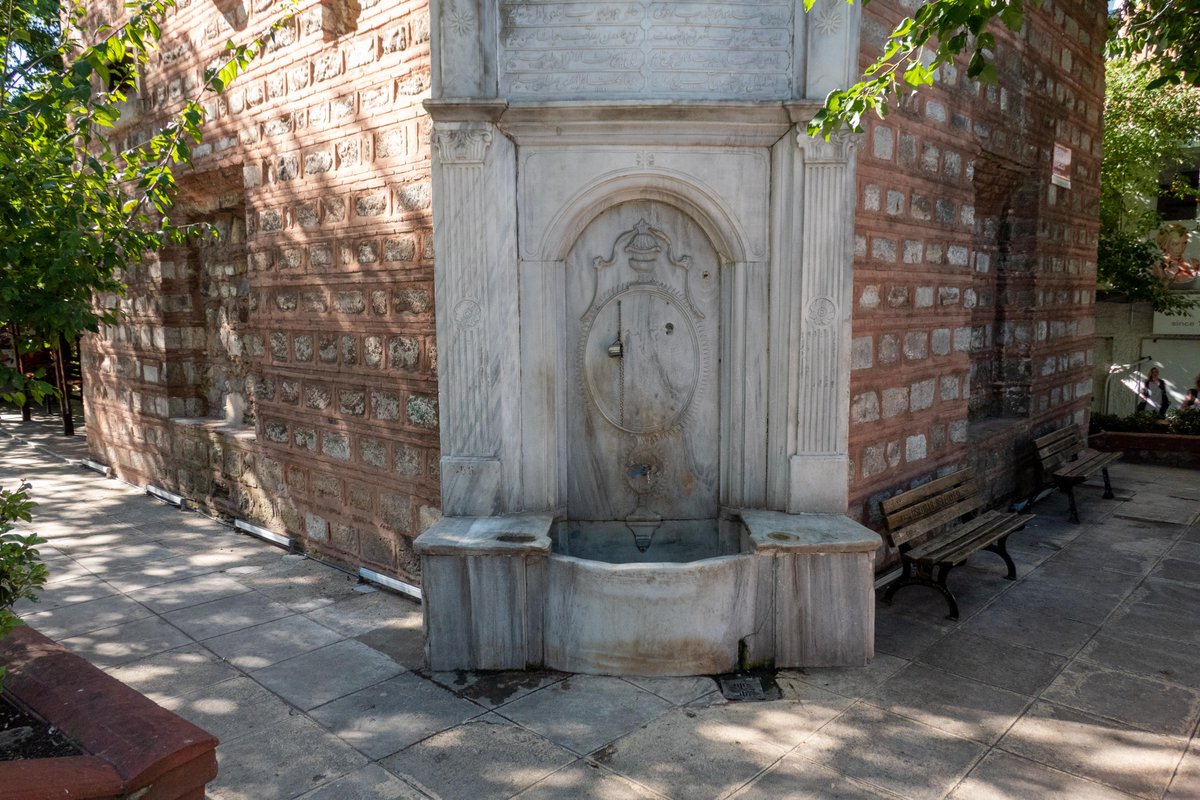 Chris Arnade 🐢🐱🚌 tweet media