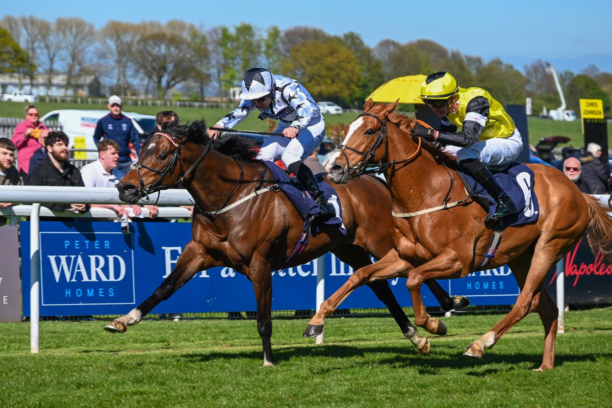 Beverley_Races's tweet image. Our 2025 leading owner is off the mark 👏

A WAR EAGLE makes all to score for @NickBradley_1 &amp;amp; @MickEasterby 

Well done to all connections 🥂