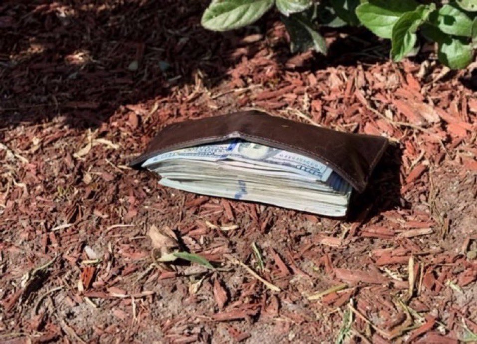 DK🇺🇸🦅🇺🇸 tweet media