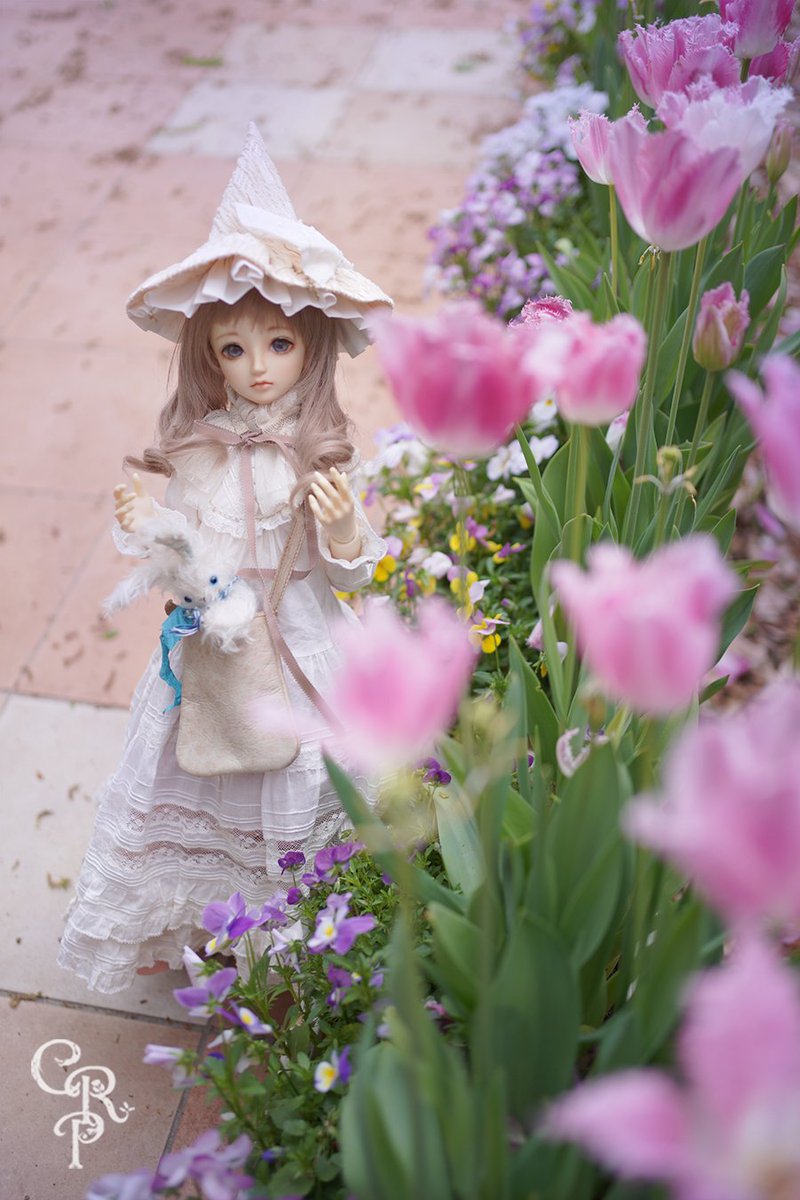 #今夜のドール撮影120分一本勝負
【とぶ】
この時
いまだけ
だから....
＃スーパードルフィー ＃うちのこかわいい #doll