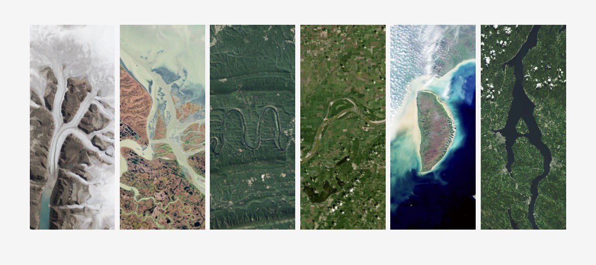 カマダタイスケ tweet media