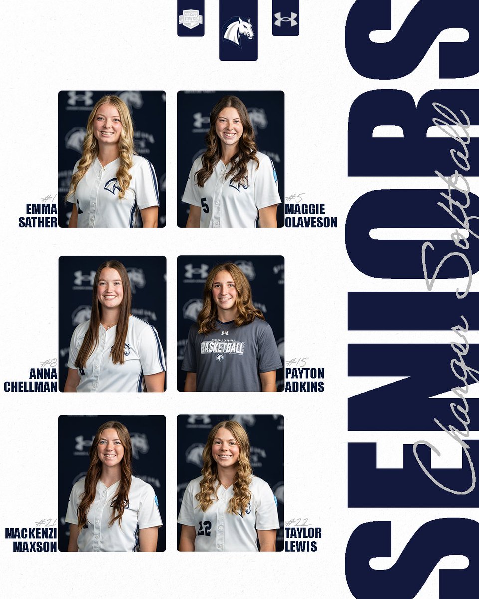 Hillsdale College Softball tweet media