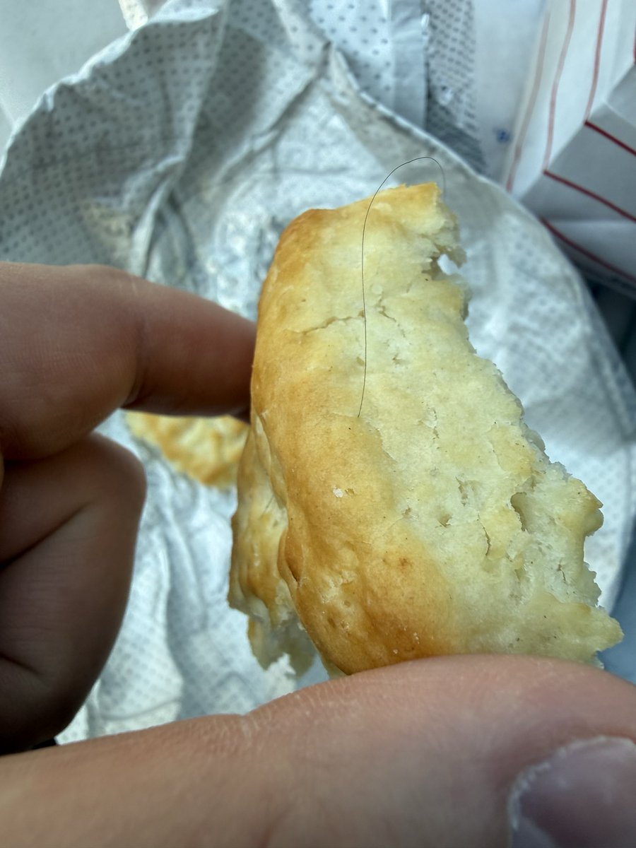 commandohlando's tweet photo. @ChickfilA hair embedded in the biscuit, NICE https://t.co/PnfXIGKx7t