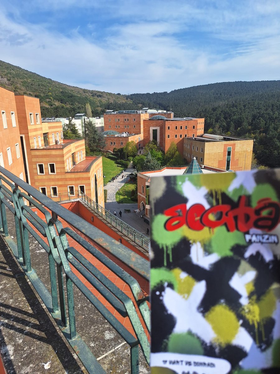 acabaFanzin tweet media