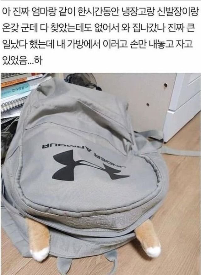 챱 (@lovx11_very) on Twitter photo 