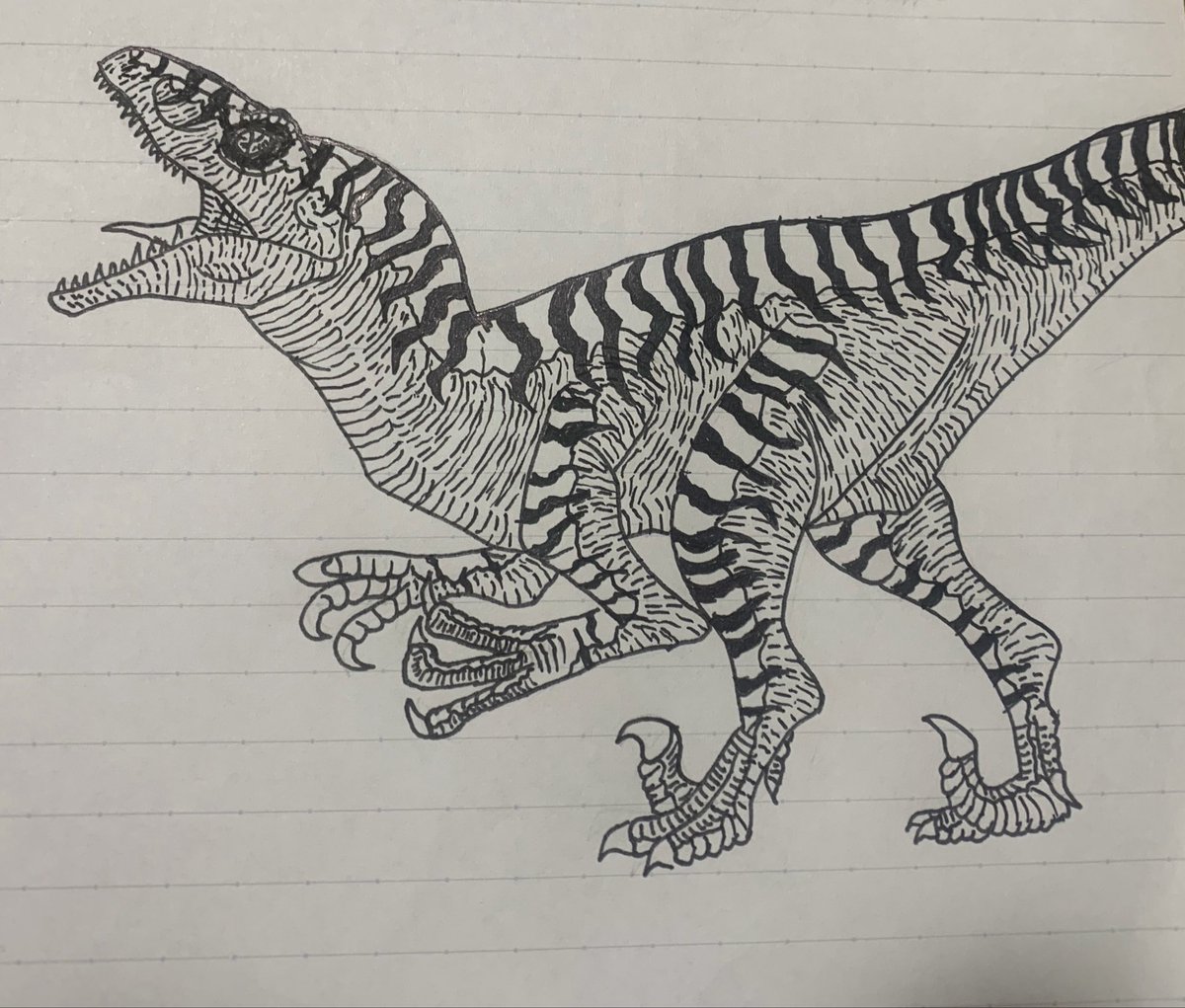 Dinofun tweet media