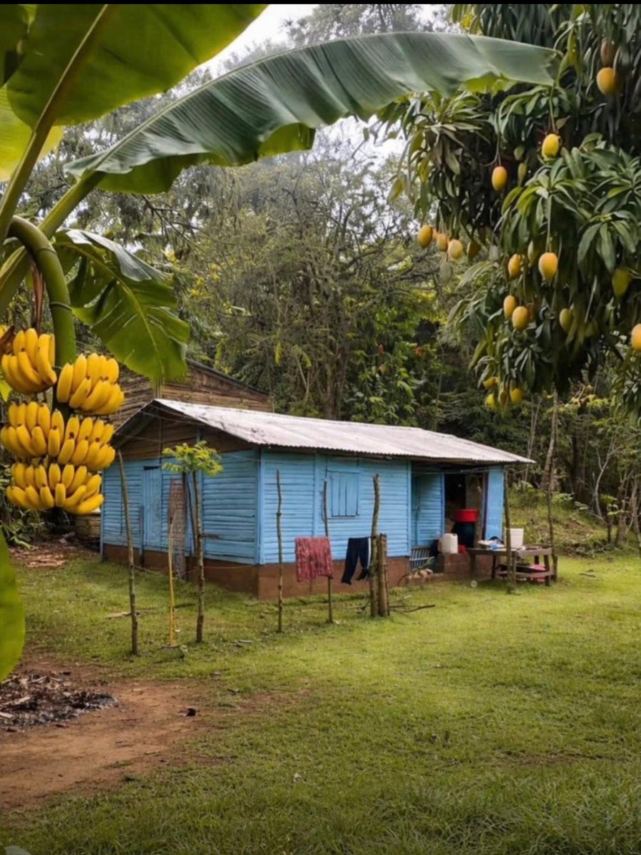 Tagar_Ros tweet media