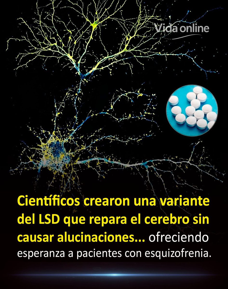 My name is M. Only M tweet media