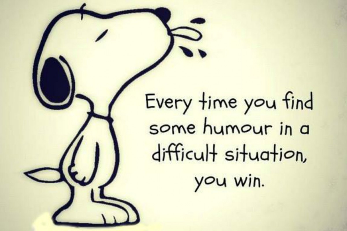 NonPaper11's tweet image. You are a #winner