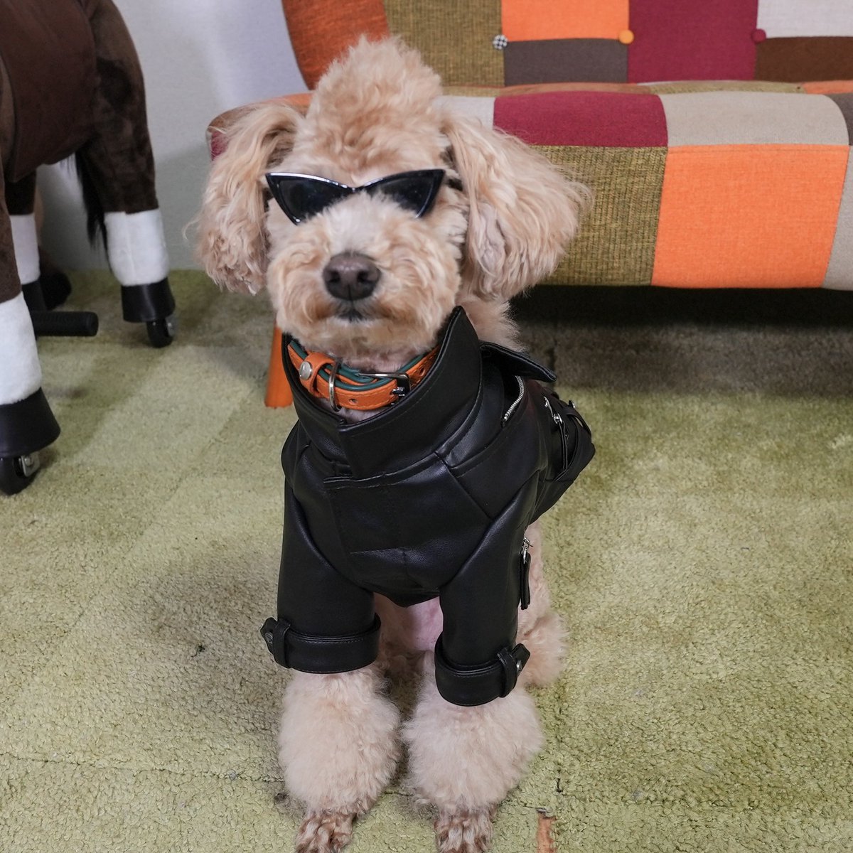 プーキーズ tweet media