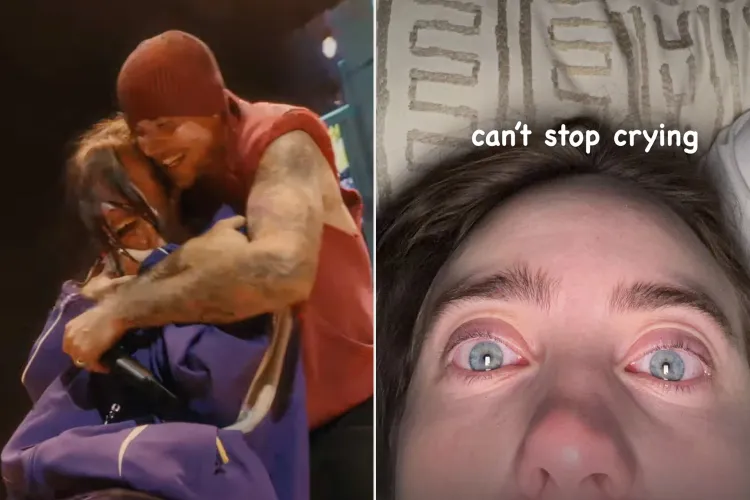 james | #1 Swiftie tweet media