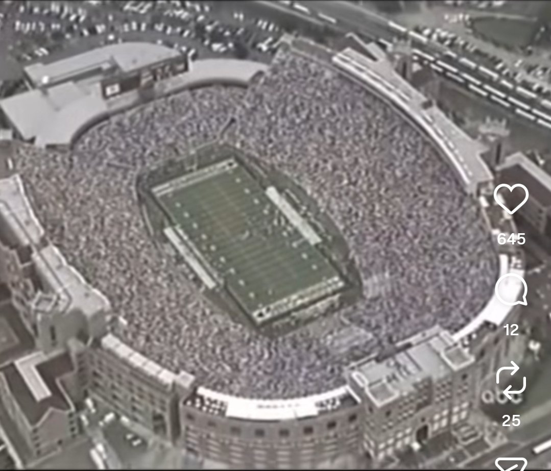 Chief Nole tweet media