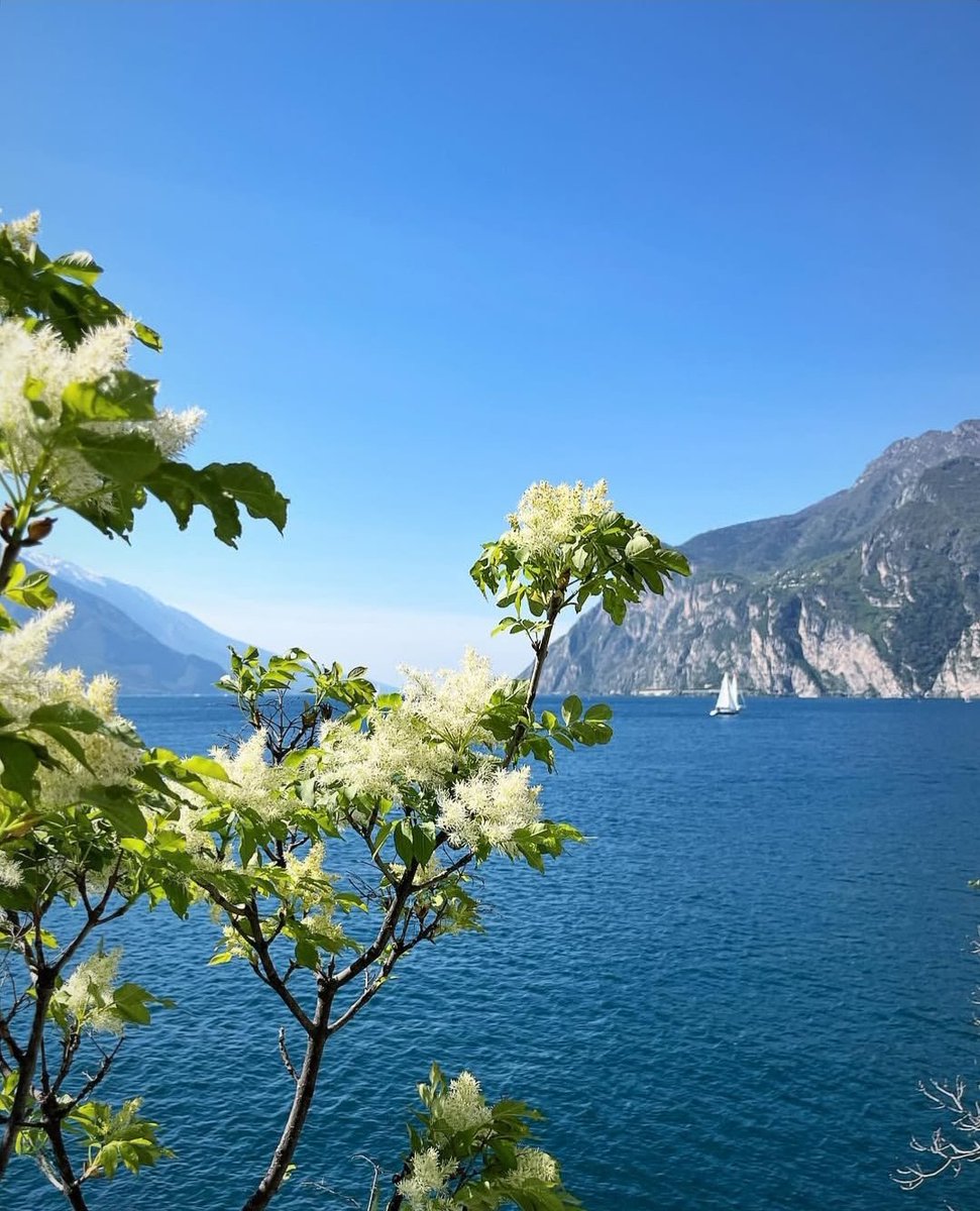 Fabiana54091377's tweet image. #France #Austria #Slovenia #Slovakia