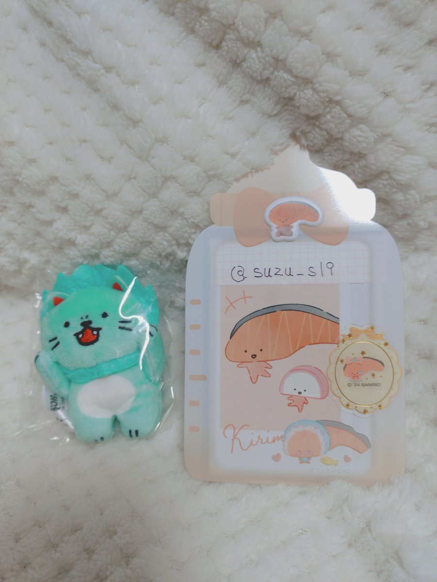 すっちゃん♪ tweet media