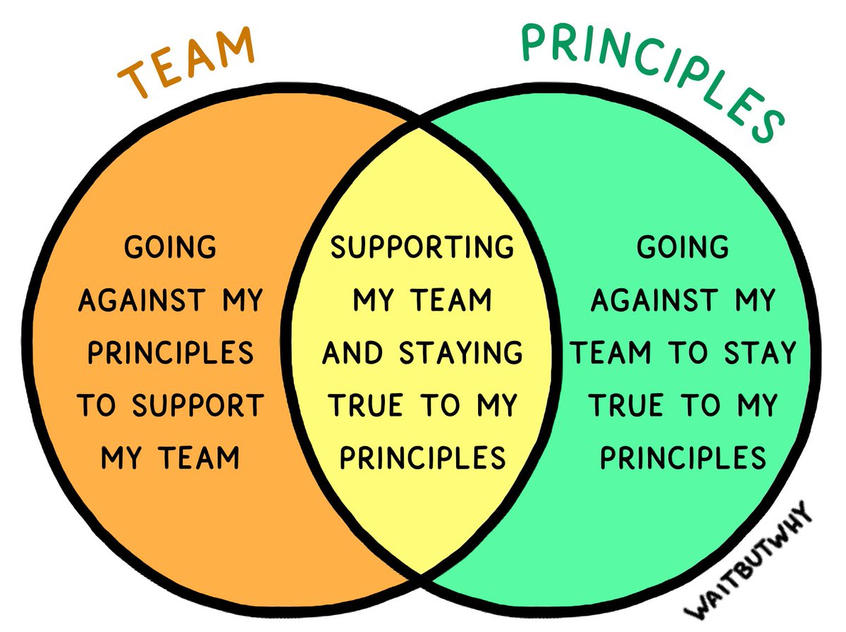 Tim Urban tweet media