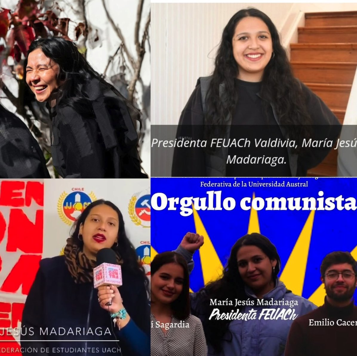 🇨🇱 𝐂𝐑𝐈𝐒𝐓𝐈𝐀́𝐍 𝐀𝐑𝐀𝐘𝐀 - DIPUTADO tweet media