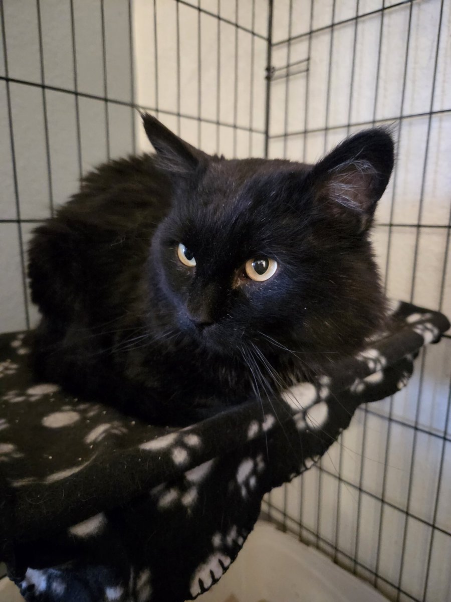 Brad's Pit tweet media