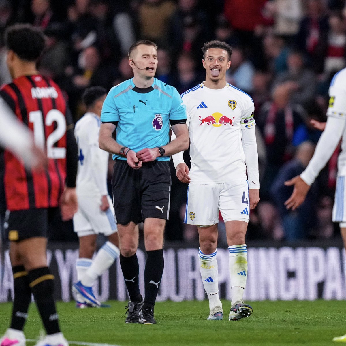 LUFC Connor (C) 🦚 tweet media