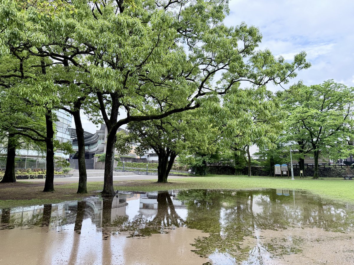 谷崎隆幸 tweet media