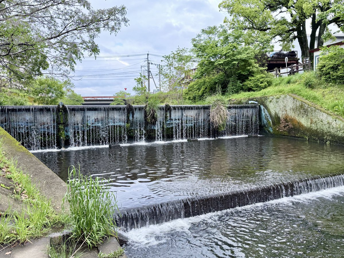 谷崎隆幸 tweet media