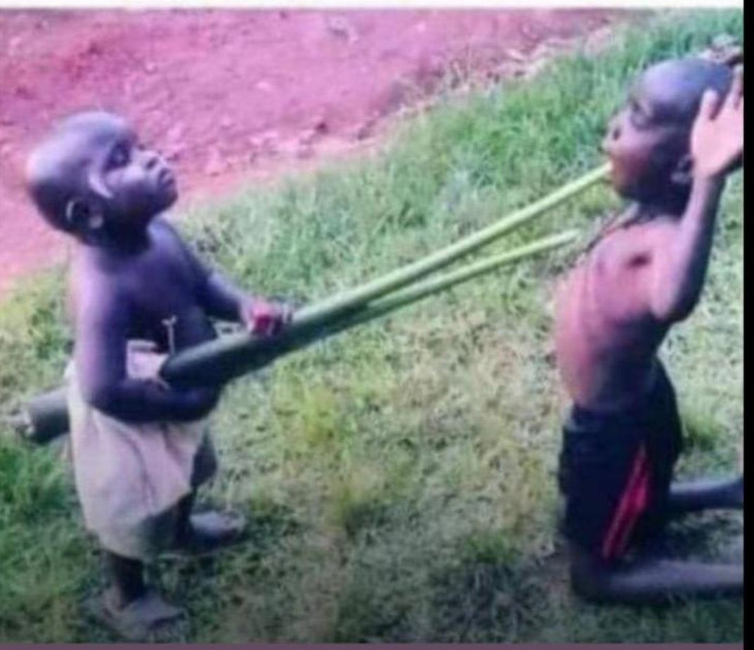 Dr. Black tweet media