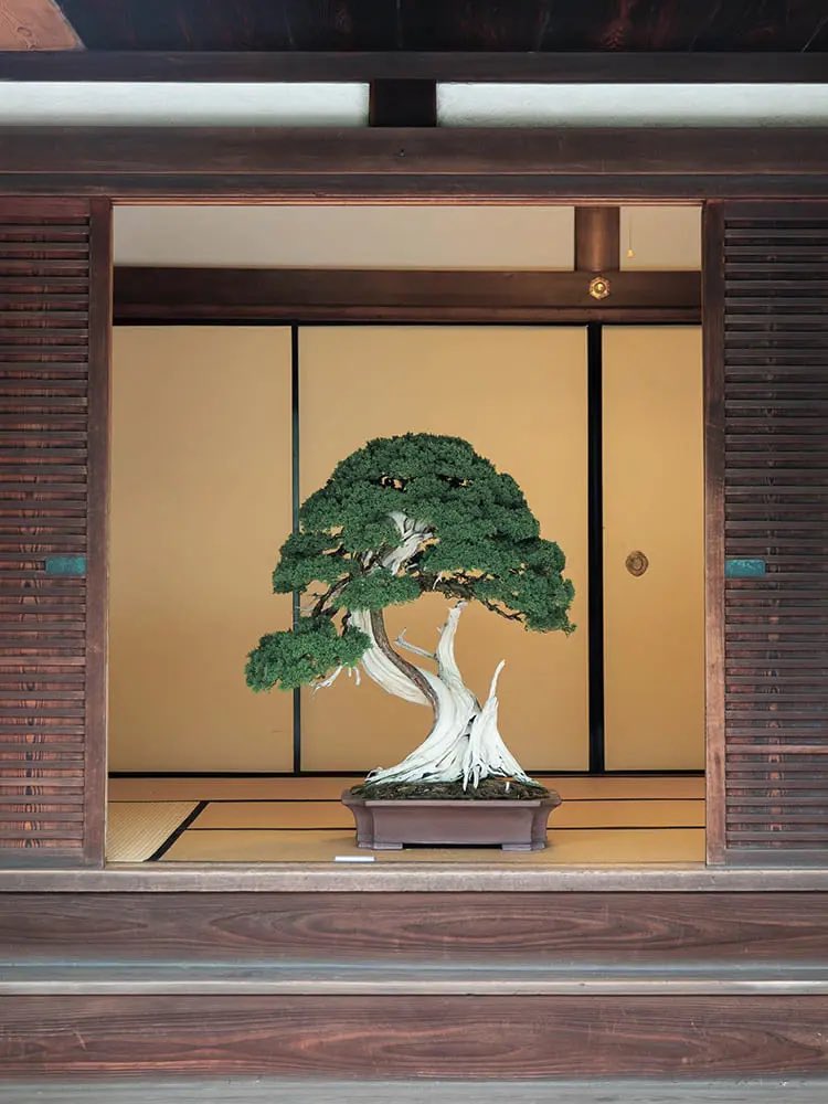 🇯🇵星空音夢🇯🇵🧀Cheese police 👮 tweet media