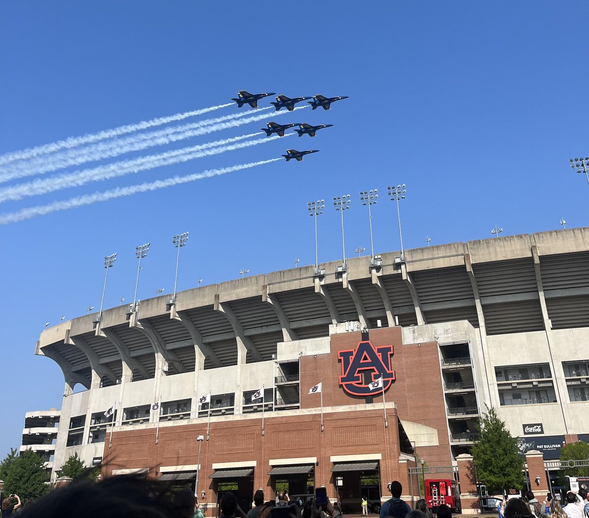 Depressed Auburn Fan tweet media