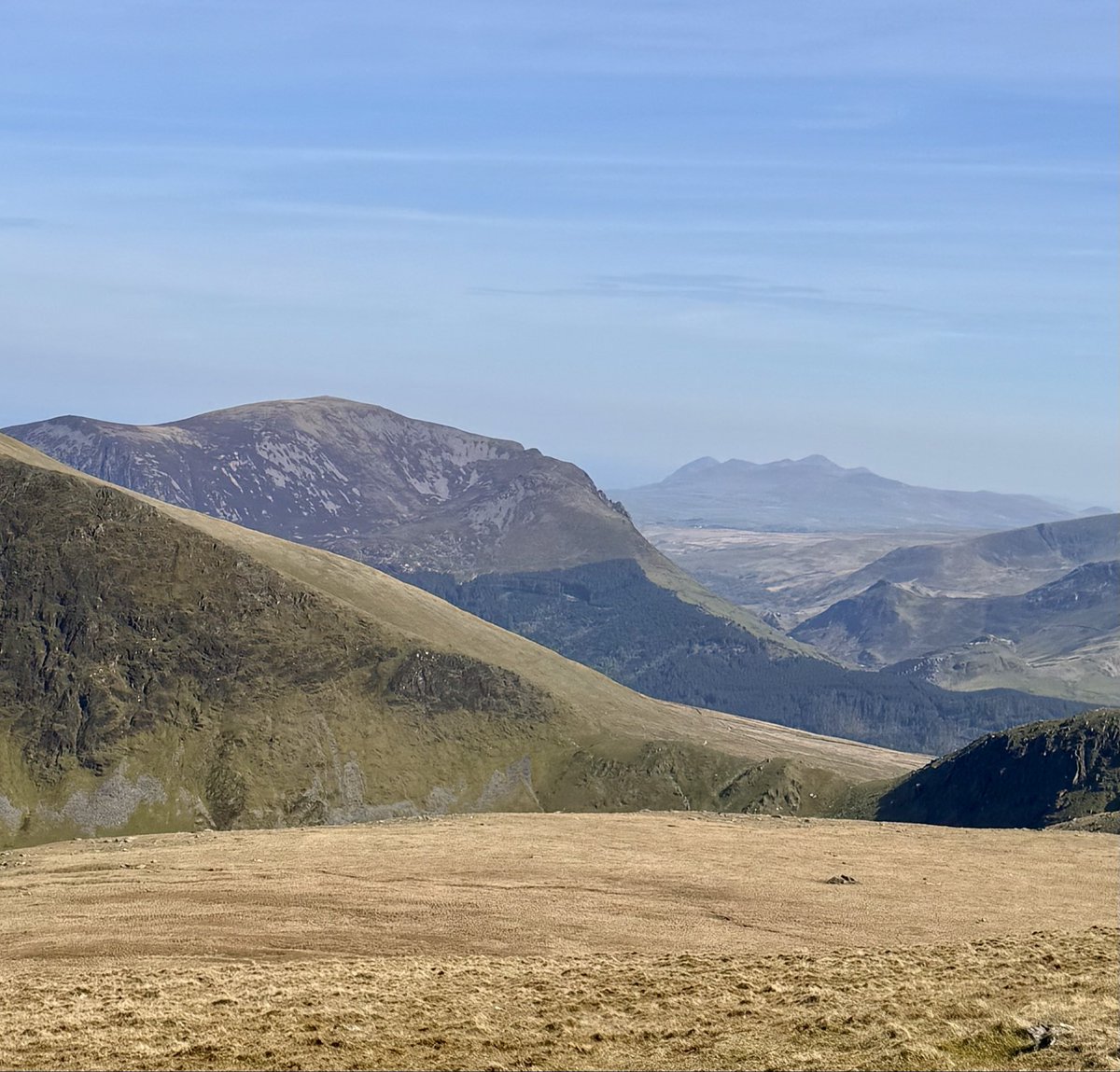 Wendy ❤️ tweet media