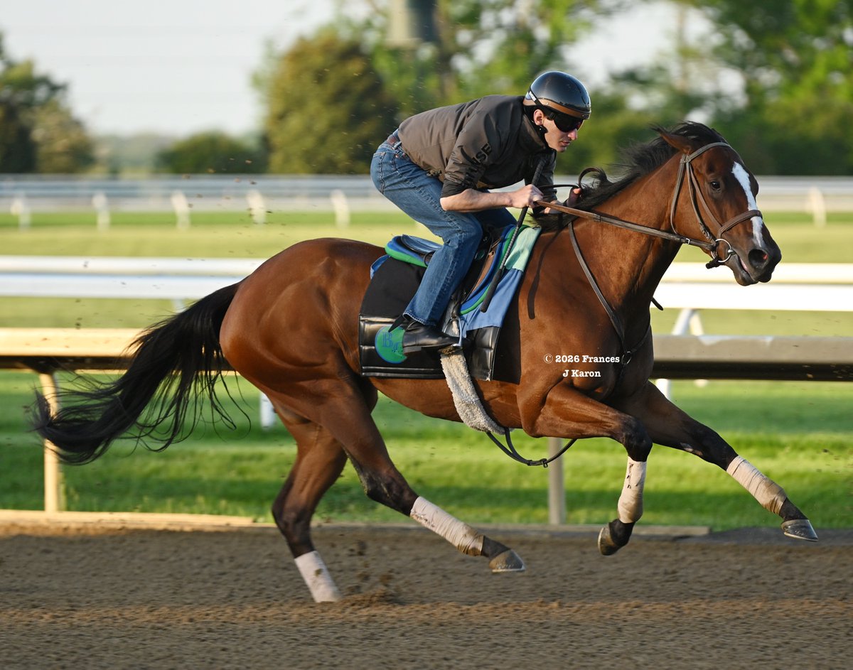 Frances J Karon tweet media