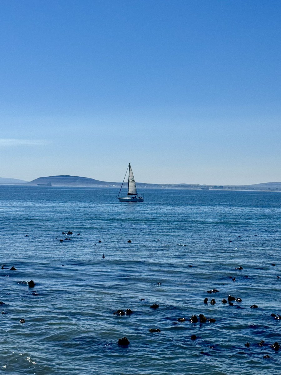 Edelweiss_Delp's tweet image. Cape a town showing off today! What a glorious day @Radisson in Granger Bay. The blues are mesmerizing 💙💙🇿🇦  #boating #hotel #radissonblu #CapeTown #travel #SouthAfrica
