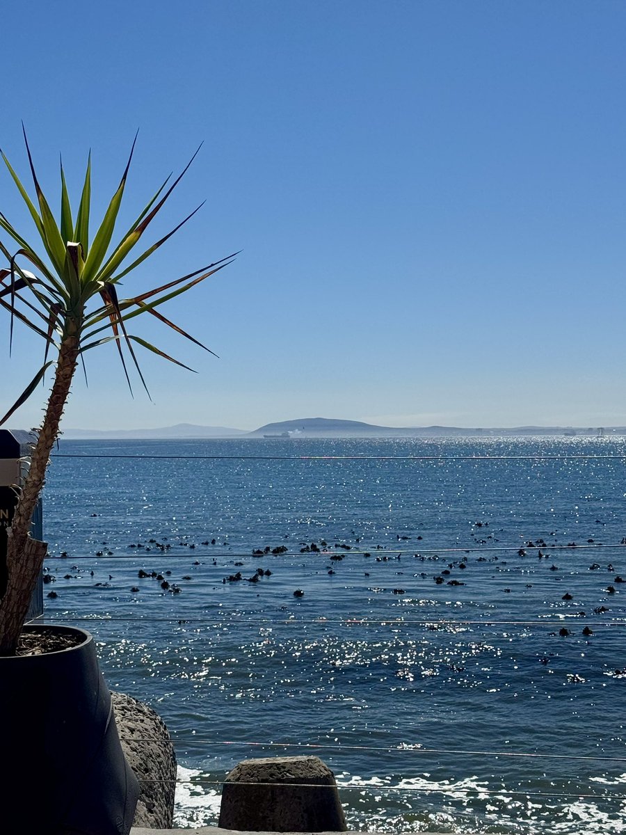 Edelweiss_Delp's tweet image. Cape a town showing off today! What a glorious day @Radisson in Granger Bay. The blues are mesmerizing 💙💙🇿🇦  #boating #hotel #radissonblu #CapeTown #travel #SouthAfrica