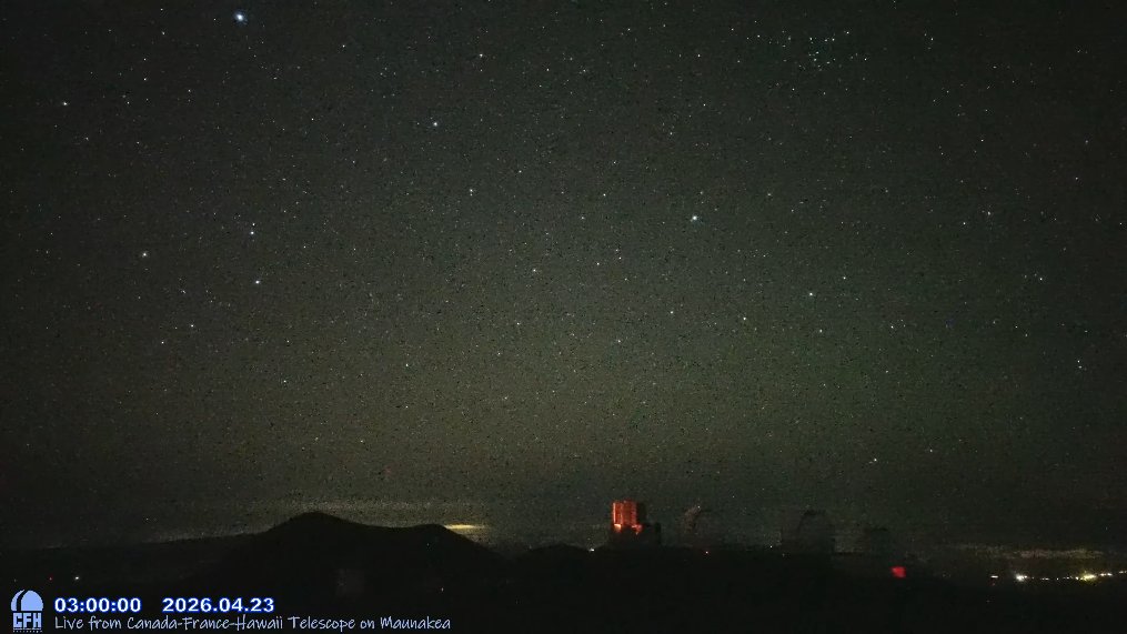 Hokulani（koruri 0） tweet media