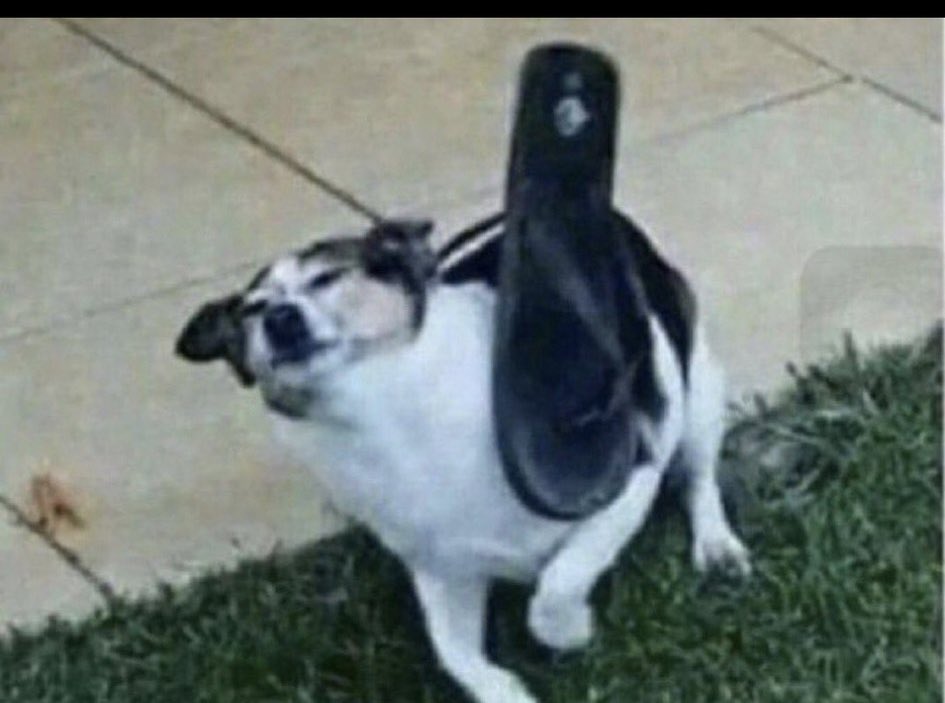 Al Maha🇸🇦 tweet media