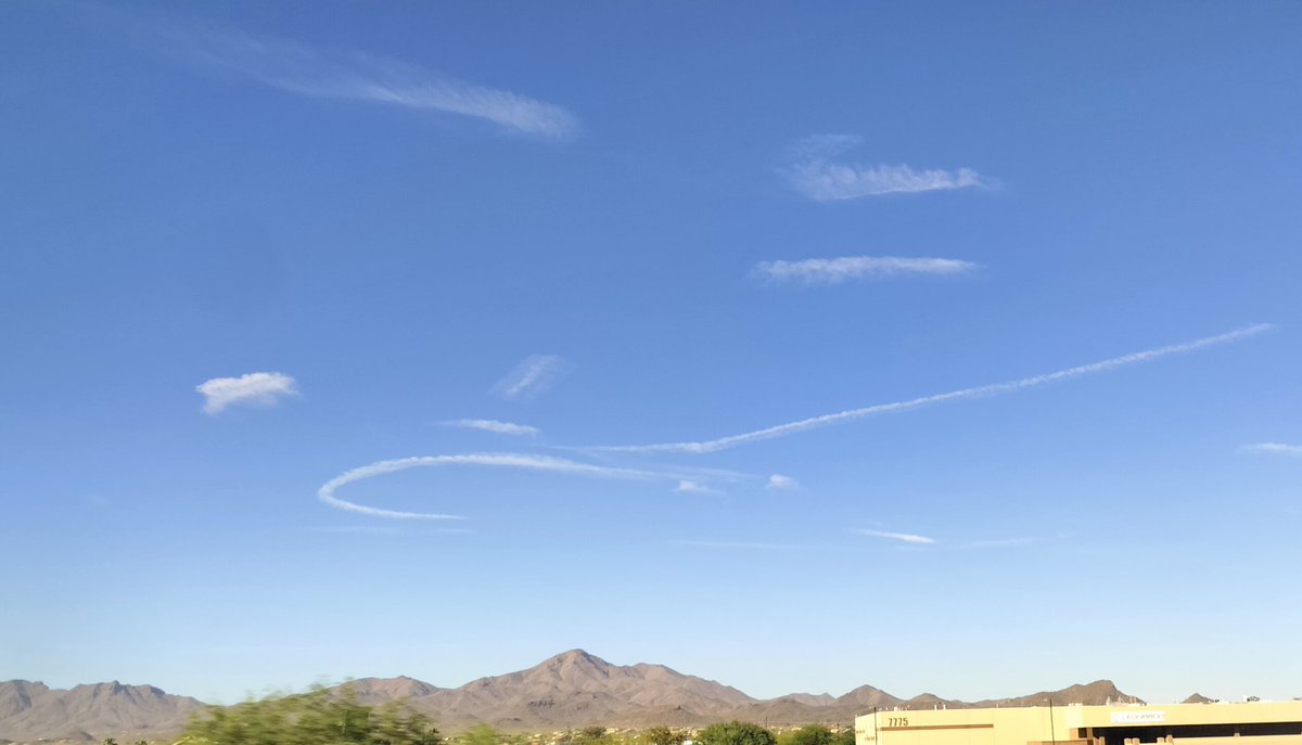 raythewhale's tweet image. #Tucson