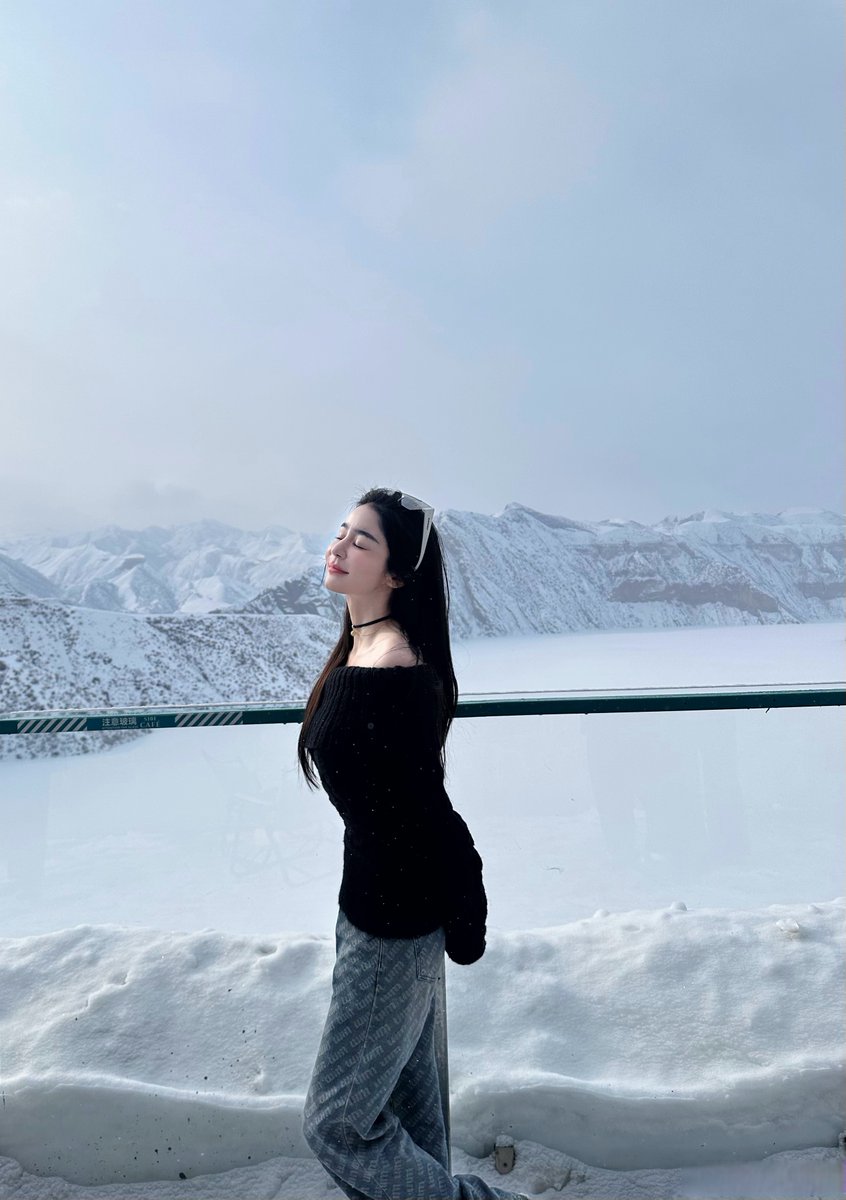 Shevchenko tweet media