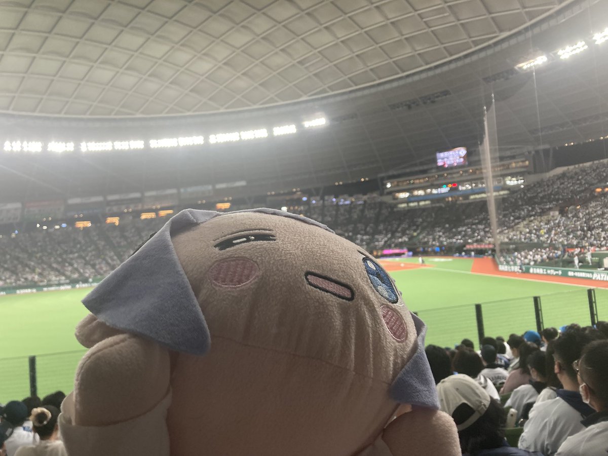 S-YAMASHI@打破！ tweet media