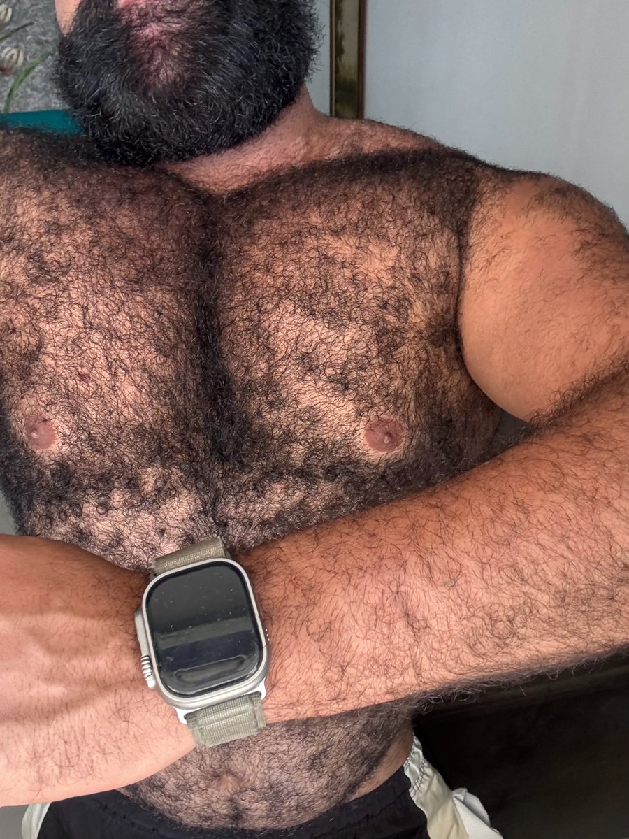 Bear Woof Br tweet media